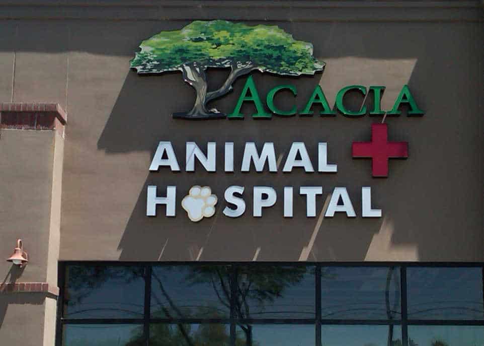 Acacia Animal Hospital Illuminated Channel Letters by Addisigns Tucson
