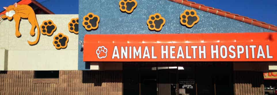 Animal Health Hospital Orange Awning Wide by Addisigns Tucson